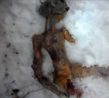 Alieno morto in Russia