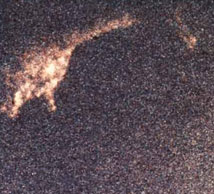 Foto subacquea scattata da Robert Rines nel 1975 che dovrebbe mostrare il collo di Nessie, ovvero il Mostro di Loch Ness