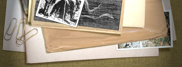 Archivi Criptozoologici