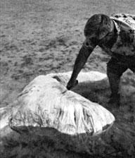 Teddy Tucker mentre tenta di tagliare un pezzo del Blob delle Bermuda