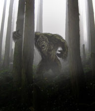 Il Bigfoot