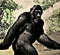 Il Bigfoot: essere umano o animale?