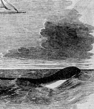 La creatura avvistata dalla fregata Daedalus al largo del Capo di Buona Speranza nel 1848