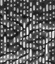 Immagine al microscopio della superficie di un DVD (Digital Versatile Disc)