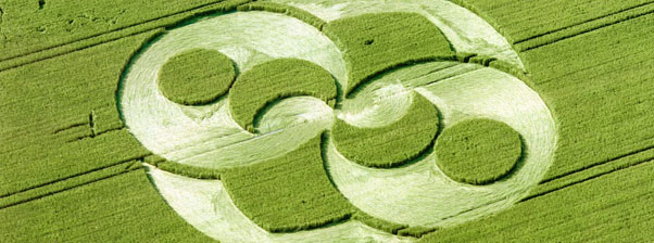 Foto Crop Circles o Cerchi nel Grano