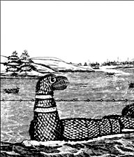 Il serpente marino avvistato a Gloucester nel 1817