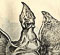 Il Jenny Haniver: un falso molto diffuso