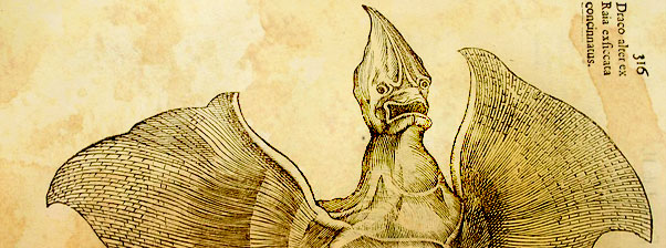 Il Jenny Haniver