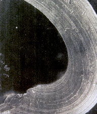 Frammento di una Nanospirale