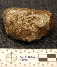 Il meteorite caduto a Puno, Perù