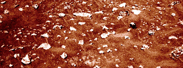2006, 8 Agosto: Spirit fotografa conchiglie su Marte